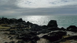20120906-091609.jpg